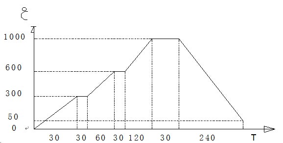 氢气炉-非标定制