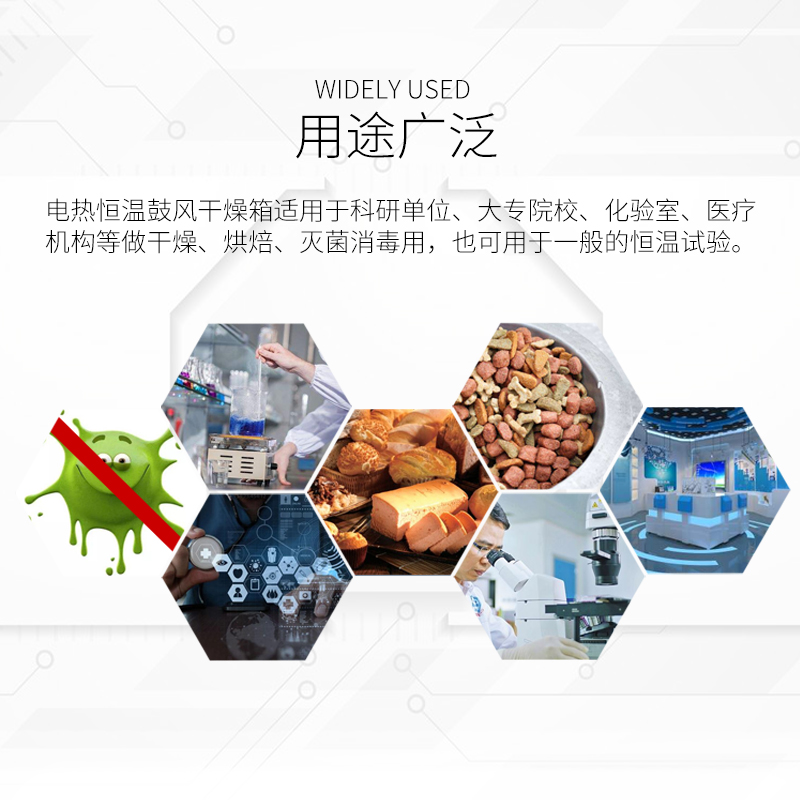 电热恒温鼓风干燥箱 烘箱 提供非标定制